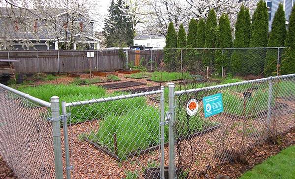 $889 / 1br - 650ft2 - Parking, 24-Hr Emergency Maintenance, Closet Space (6724 SE 72nd Ave, Portland, OR)64039059568259122