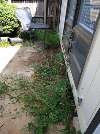 Yard clean up 1