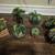 7 succulent arrangements 2 thumbnail