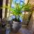 GORGEOUS LARGE PLANT SETS WITH BEAUTIFUL VASE PLANTERS FOR INDOORS OR OUTDOOR 16 thumbnail