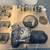 Ford Flathead engine parts 1939-1948 4 thumbnail