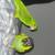 Conure conures parrot parrots birds bird cockatiel cockatiels 1 thumbnail