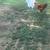FREE Roosters 4-5 4 thumbnail