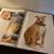 Giant Book of DOGS 13 thumbnail