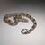Red Tail Boa Constrictor Morph 2 thumbnail