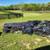 Tents / Military grade / Modular General Purpose 2 thumbnail