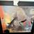 Multiple Art Pieces Artwork Paintings High End Great for Home Staging 5 thumbnail