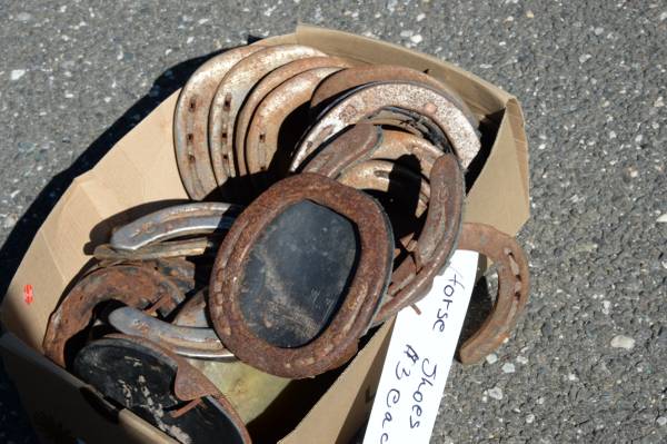Horse Shoes-Used on Horses 1
