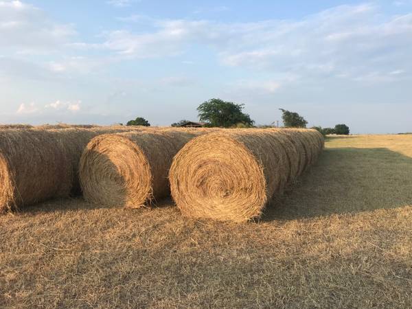 Hay -Coastal/Johnson Grass (5'x5') Round Bales 1