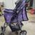 Paws & Pals 4-Wheeled Pet Stroller for Dog and Cat Foldable 1 thumbnail