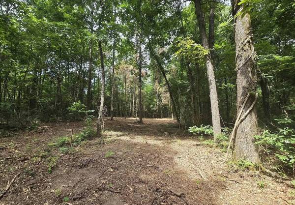 $750,000 38 Acres of Raw Land - FCFS (Decatur)63801809094913121