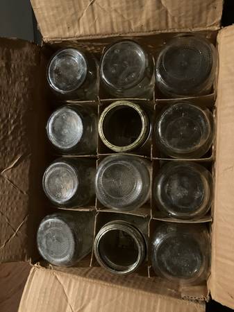 one dozen pint canning jars, rings, no lids 1