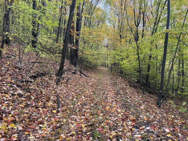 16 acres HUNTING LAND in Bolivar NY
$37,900
Bolivar, NY 16 acres HUNTING LAND in Bolivar NY
$37,900
Bolivar, NY