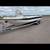 Falcon King Striper 3 thumbnail