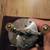 Vintage fishing reels 4 thumbnail