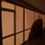 European Roller Shutters & Windows, Insect Screens, Hurricane Shutters 4 thumbnail