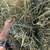 2025 Premium Horse Quality Hay (Alfalfa, Orchard-Mix, Pure Orchard 3 thumbnail