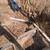 Dozer work ponds,land clearing, water ways parking and more 6 thumbnail