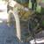 Posthole Digger / Auger (Compact / Sub Compact) 5 thumbnail