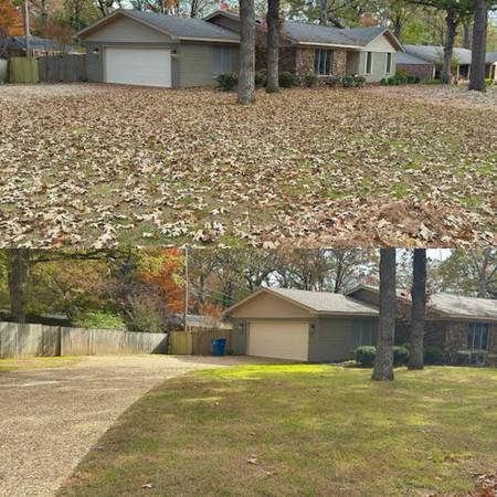 FREE ESTIMATES, yard clean up, junk removal and moving help. 1