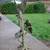 Bronze Parrots Statue 3 thumbnail