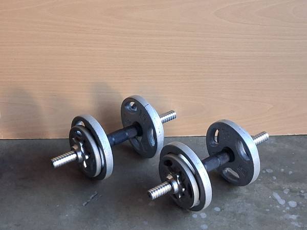 Adjustable Dumbells 1
