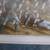 Ornate 29x23 Framed Matted Civil War Picture Battle of Wilson's Creek 4 thumbnail