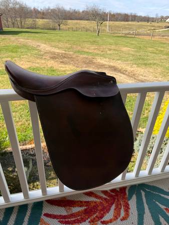 Cutback English Saddle 1