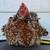 Calico bantam cochin chicks SR 8 thumbnail