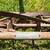 Craftsman Antique Push Mower 2 thumbnail