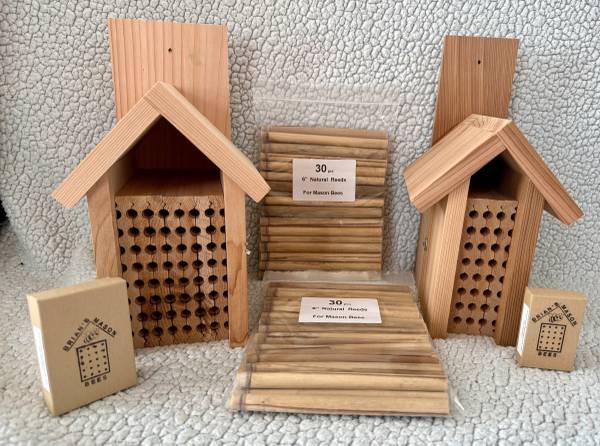 Mason bee cocoons and houses 1