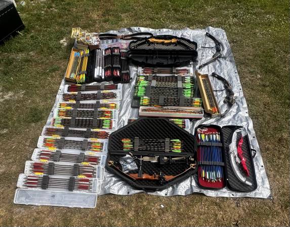 Compound Bow and Arrows 1