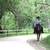 All Around AQHA mare 13 thumbnail