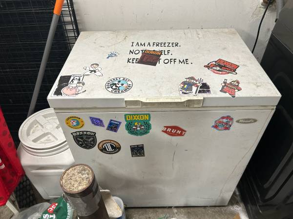 Deep freezer (garage kept) 1