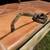 Sugar gliders , hedgehogs , snakes (boas / colubrids) 18 thumbnail
