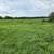 40 acres of grass free 1 thumbnail