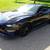 * 2023 FORD MUSTANG GT *ONE OWNER *19K ACTUAL MILES * FINANCING* 7 thumbnail