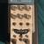 Chase Bliss Condor Hifi OG pedal 1 thumbnail