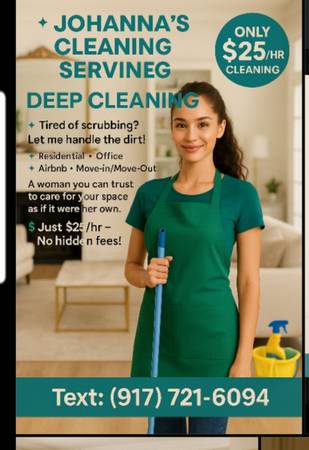 Cleaning services 1