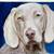 Private Painting & Drawing Lessons with a Classically Trained Painter 13 thumbnail