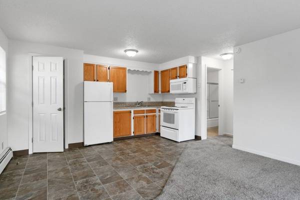 FREE RENT - $100 DEPOSIT - Pet Friendly - On-Site Laundry 1