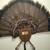 WILD TURKEY TAILS 2 thumbnail