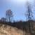 80 Amazing Acres $78,000. 5 thumbnail