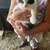 Friendly Kittens 9 thumbnail