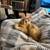 Kitten 1 thumbnail