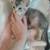 4 kittens 6 thumbnail