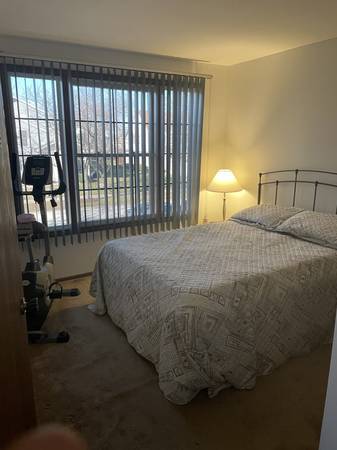 Roommate for Luxury Townhouse Close to Metra Train 1