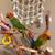 Baby sun conures 2 thumbnail