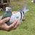 Long distance homing pigeons 5 thumbnail