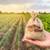 ** FARM LANDED WANTED ** - FOR LEASE - fertile land 2 thumbnail